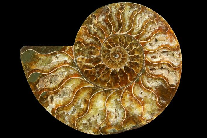 Agatized Ammonite Fossil (Half) - Madagascar #116800